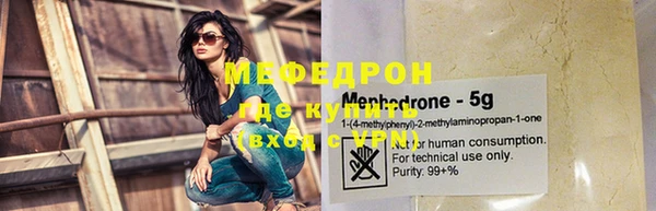 индика Новодвинск