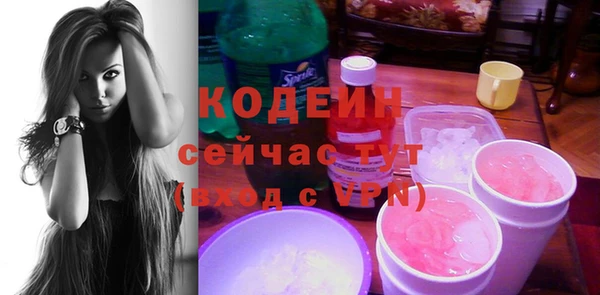 индика Новодвинск
