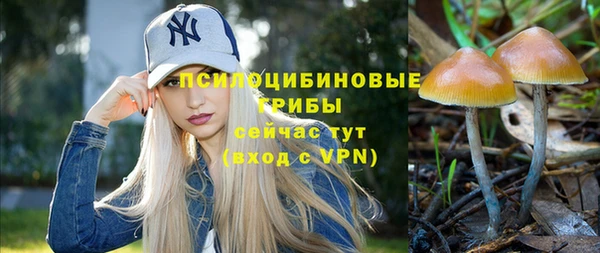 МДПВ Арсеньев