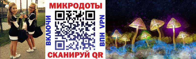 Псилоцибиновые грибы GOLDEN TEACHER  даркнет сайт  OMG как зайти  Черемхово 